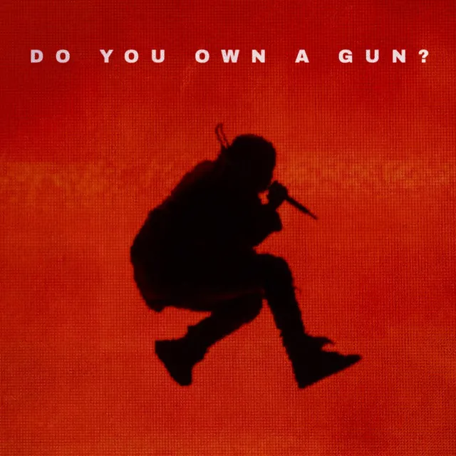 Do You Own A Gun?