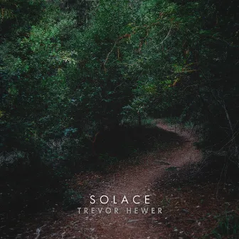 Solace by Trevor Hewer