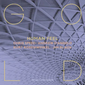 Gold by Human Feel