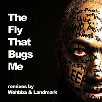 The Fly that Bugs me - the remixes by James Nidecker