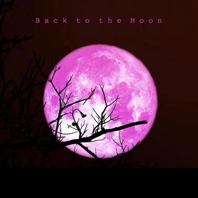 Back to the Moon - Remodel