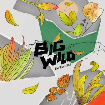 Invincible EP by Big Wild