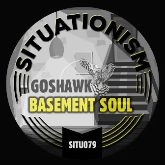 Basement Soul by Goshawk