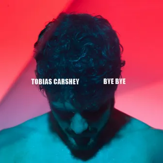 Bye Bye by Tobias Carshey