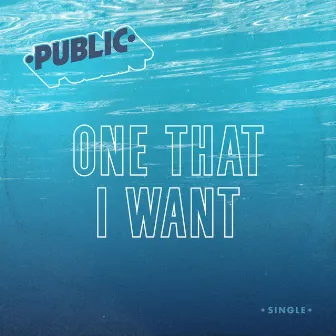 One That I Want by PUBLIC