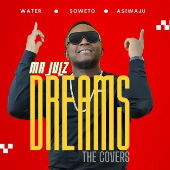 Dreams (The Covers) by Mr Julz