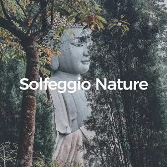 Solfeggio Nature (Healing of the Forest) by Naturally Recurring