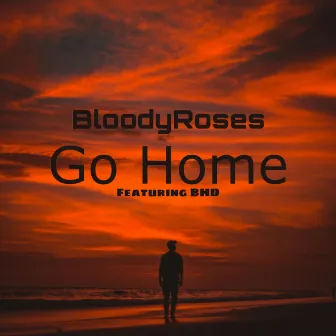 Go Home by BloodyRoses