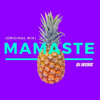 Mamaste (Original Mix) by DJ Josvic