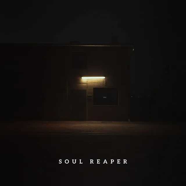 Soul Reaper