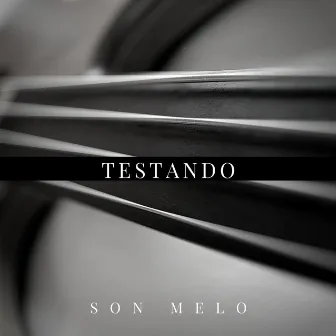 Testando by Unknown Artist