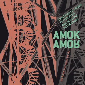 We Know Not What We Do by Amok Amor