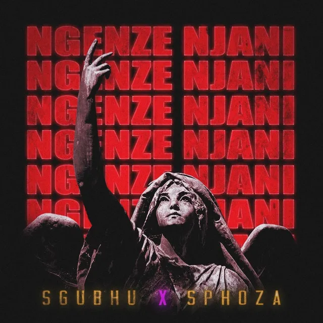 Ngenze Njani