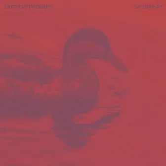 Saturday by Express Therapy