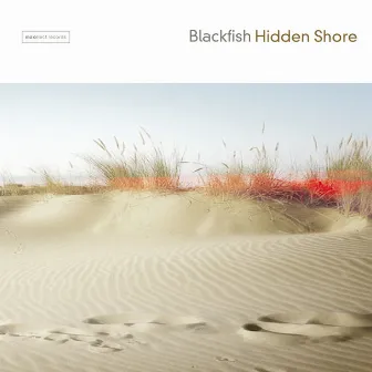 Hidden Shore by Blackfish