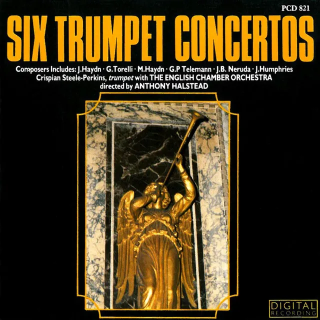 Concerto in D Major for Trumpet: I. Allegro