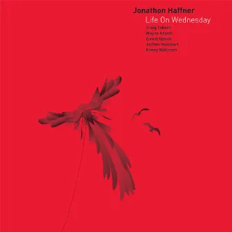 Life On Wednesday by Jonathon Haffner