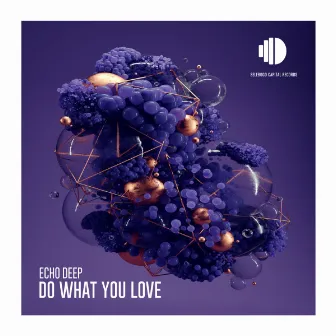 Do What You Love by Echo Deep