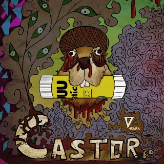 Castor by Vabaira