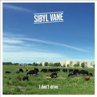 I Don't Drive by Sibyl Vane