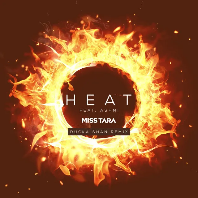 Heat (Remix) [feat. Ashni & Ducka Shan]