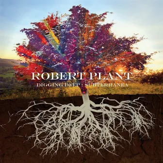 Digging Deep: Subterranea by Robert Plant