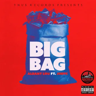 Big Bag by Albany Lou