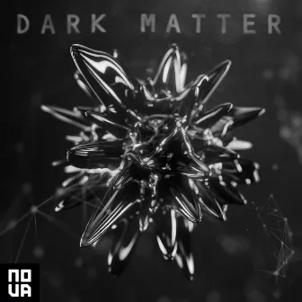 Dark Matter by Robin Everitt