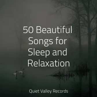 50 Beautiful Songs for Sleep and Relaxation by Oasis of Meditation