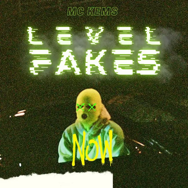 Level Fakes