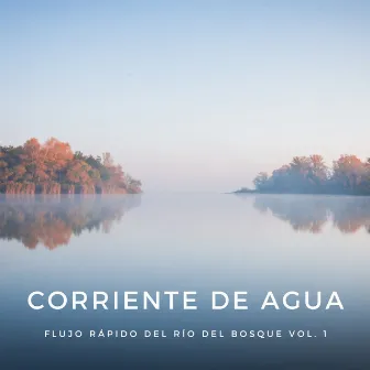 Corriente De Agua: Flujo Rápido Del Río Del Bosque Vol. 1 by Los durmientes de agua