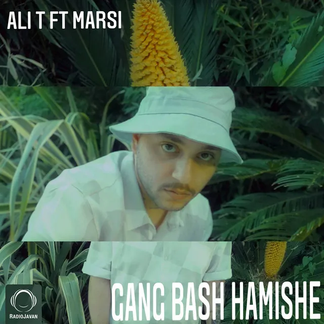 Gang Bash Hamishe