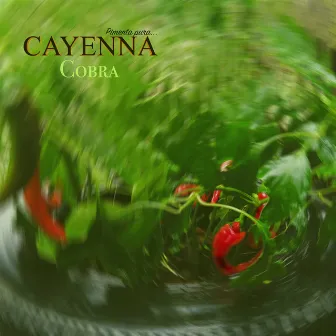 Cayenna 02 - Cobra (Titas Casanova Remix) by Titas Casanova