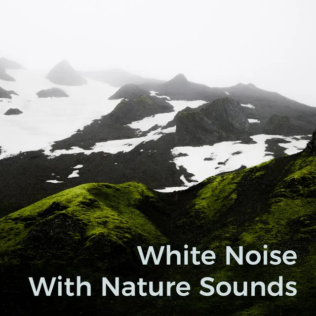 Lullaby White Noise with Nature Sounds