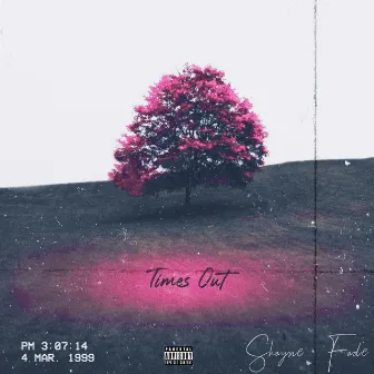 Times Out by Shayne Fade