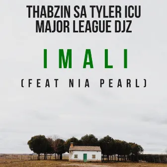 Imali by Thabzin SA