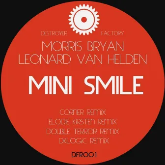 Mini Smile by Leonard Van Helden