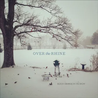 Blood Oranges In The Snow by Over the Rhine