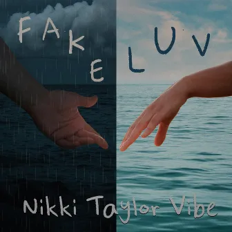 Fake Luv by Nikki Taylor