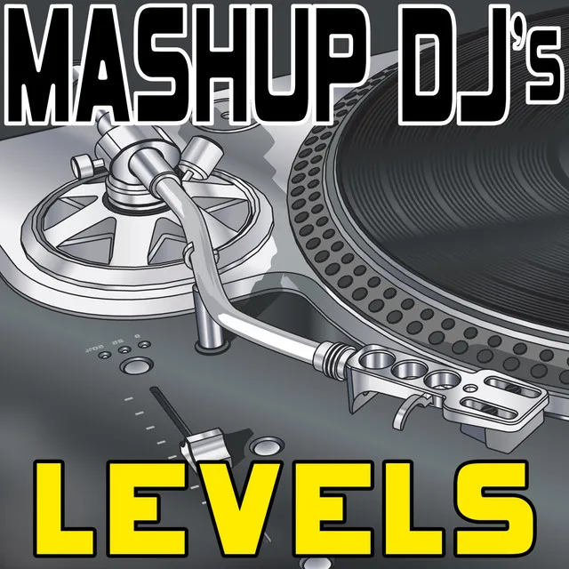 Mashup DJ's