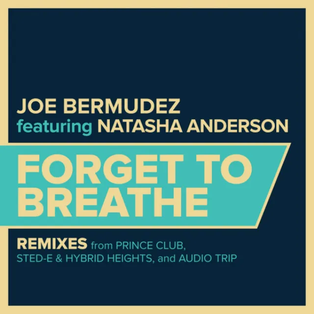 Forget To Breathe - Audio Trip Remix Instrumental