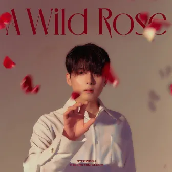 A Wild Rose - The 3rd Mini Album by RYEOWOOK