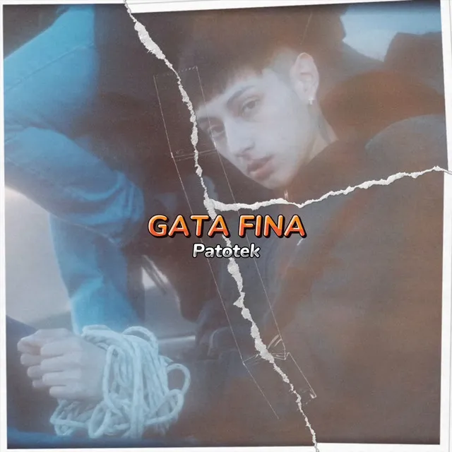 Gata Fina