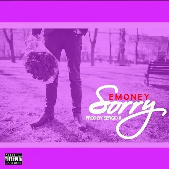 Sorry by E Money