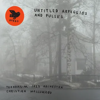 Untitled Arpeggios and Pulses by Christian Wallumrød