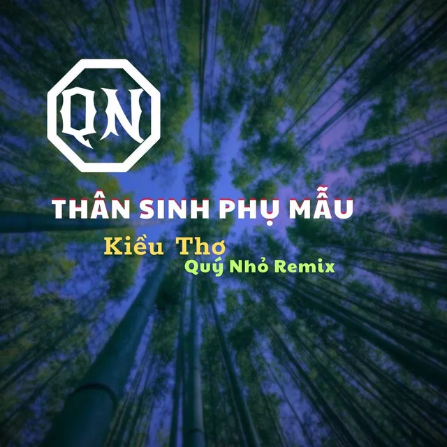 Thân Sinh Phụ Mẫu - Quý Nhỏ Remix