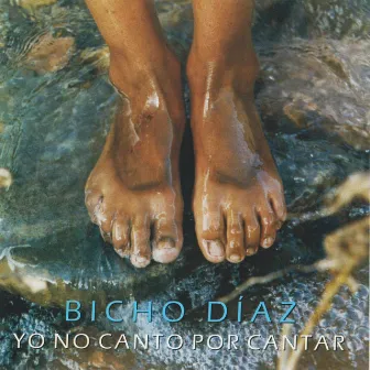 Yo No Canto Por Cantar by Bicho Diaz