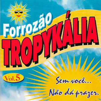 Sem Você Não Dá Prazer, Vol. 5 by Forrozão Tropykalia