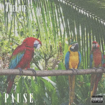 Pause by TheLove