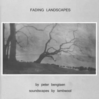 Fading Landscapes by Lambwool